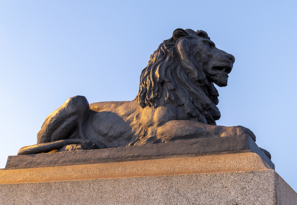 hls_me_1_picture_1_alt