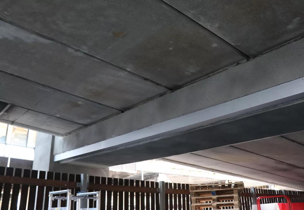 bj_cp_1_picture_2_alt