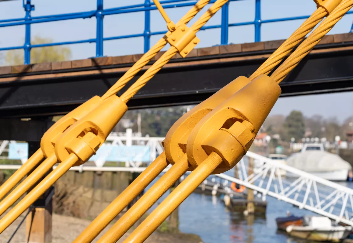 bj_cp_1_picture_3_alt